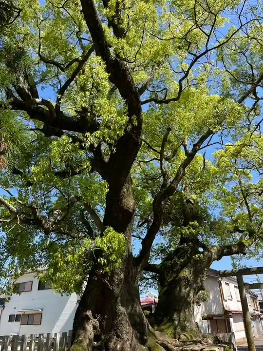 補陀洛山寺(和歌山県)
