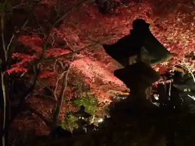 大山寺の芸術