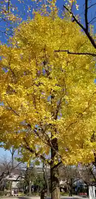 北野神社の自然