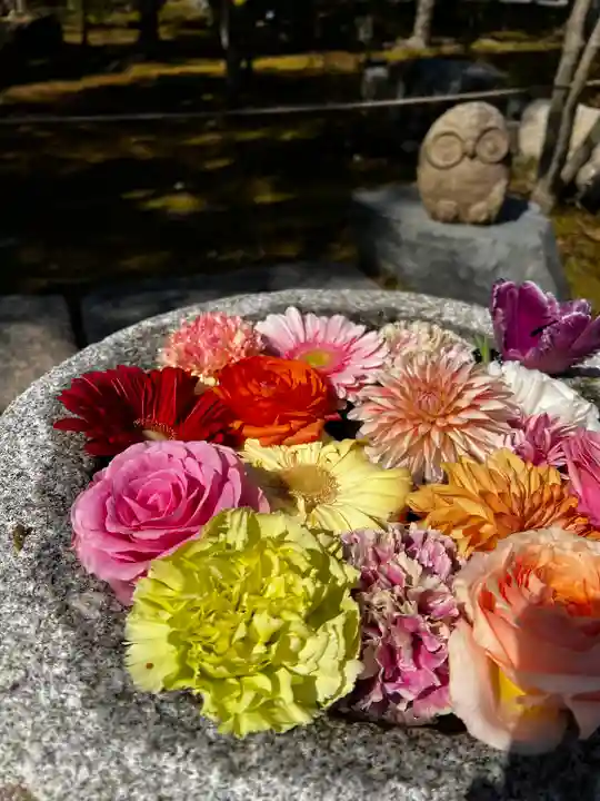 勝林寺の手水舎