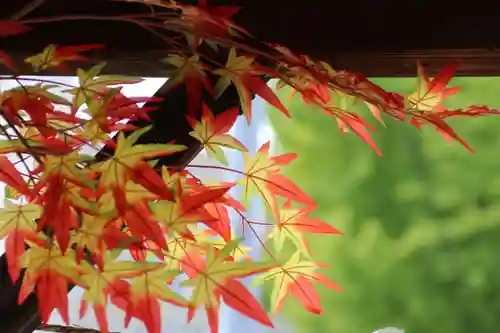 阿邪訶根神社の手水