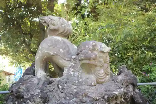 春日部八幡神社の狛犬