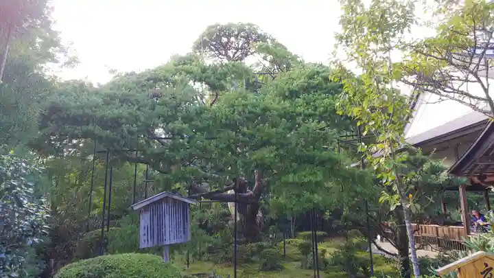 宝泉院(京都府)