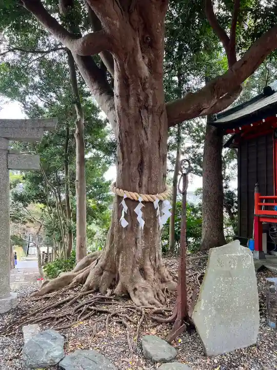 玉前神社(千葉県)