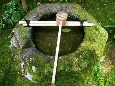 高桐院の手水舎