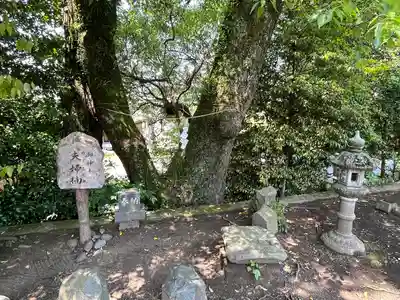 幸福神社(宮崎県)