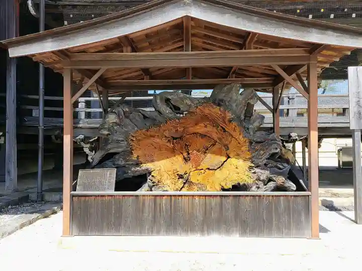 本山専修寺(三重県)