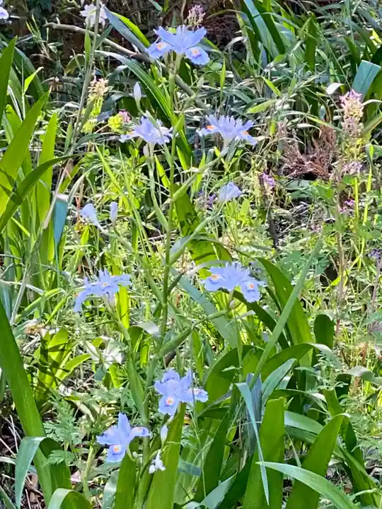 壹鞍神社(京都府)