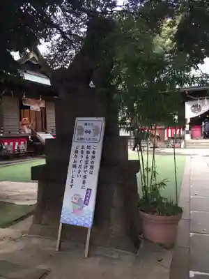 太子堂八幡神社の狛犬