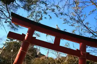 鶴岡八幡宮の鳥居