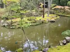 西芳寺の庭園