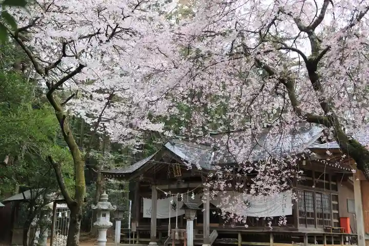 王宮伊豆神社の本殿・本堂