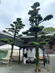 三柱神社(福岡県)