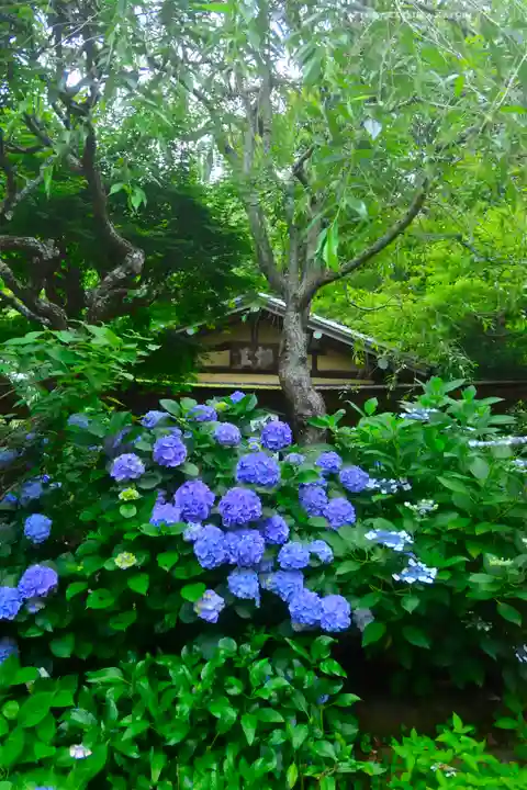 佛日庵(神奈川県)