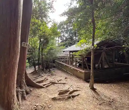 十一面堂(兵庫県)