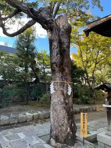 大将軍八神社(京都府)