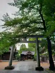 熊野神社の鳥居