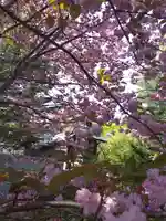 厚別神社の自然