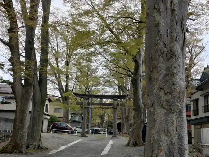 金峯神社の{uncategorized: "未分類", other: "その他", undefined: "問題あり", building: "その他建物", grave: "お墓", sacred_gate: "鳥居", guardian: "狛犬", statue: "像", buddha: "仏像", history: "歴史", nature: "自然", garden: "庭園", animal: "動物", pagoda: "塔", temizu: "手水舎", mountain_gate: "山門・神門", sanctuary: "本殿・本堂", subordinate: "末社・摂社", art: "芸術", scenery: "景色", jizo: "地蔵", ema: "絵馬", goshuin: "御朱印", omikuji: "おみくじ", items: "授与品その他", amulet: "お守り", goshuincho: "御朱印帳", eats: "食事", festival: "お祭り", votive_dance: "神楽", shichigosan: "七五三参", wedding: "結婚式", experience: "体験その他", initially: "初詣", around: "周辺", anti_infection: "感染症対策"}