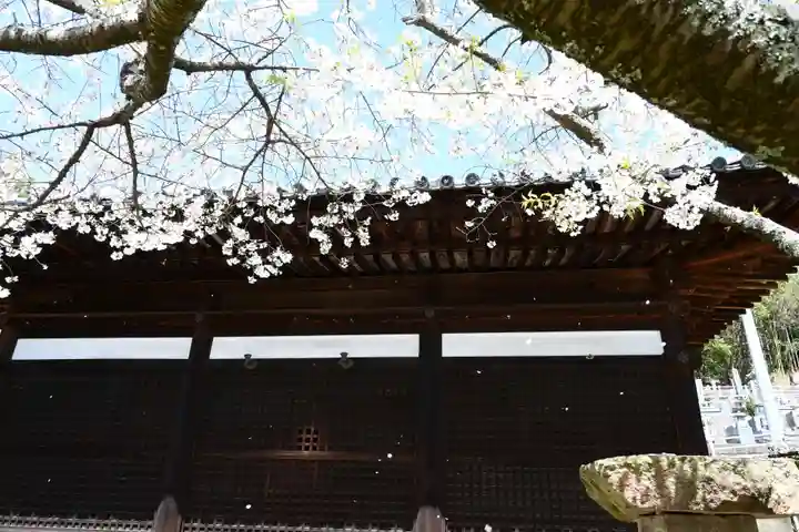 大宝寺の本殿・本堂