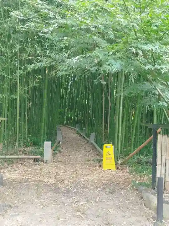 鹿王院(京都府)