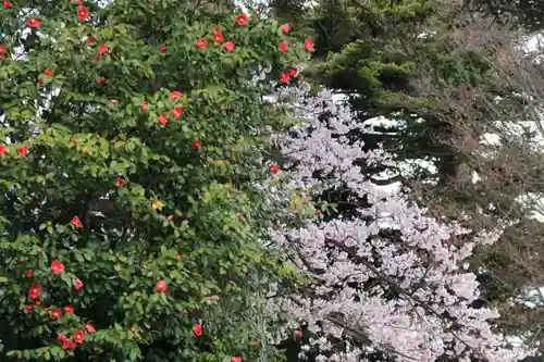 柴宮神社の自然