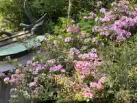 大山祇神社の自然