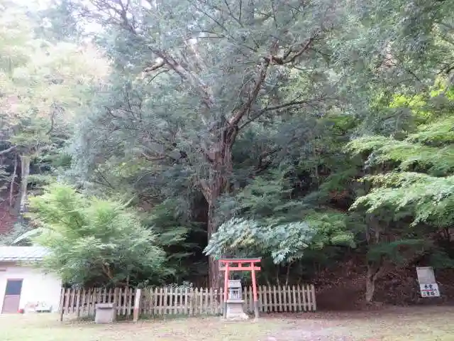 金剛院(京都府)