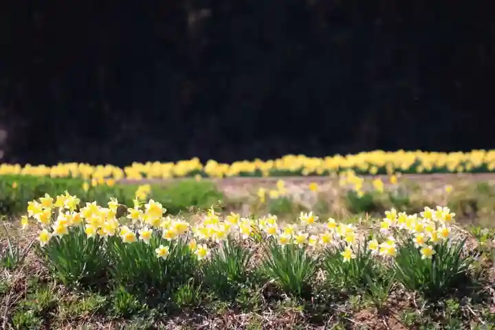 高司神社〜むすびの神の鎮まる社〜の周辺