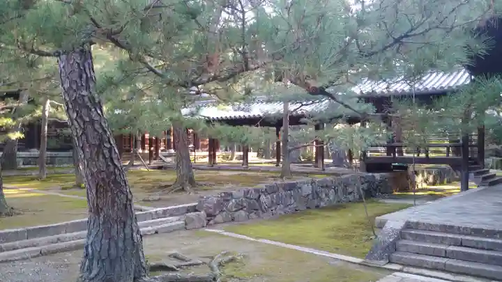 大徳寺の自然