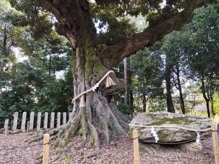 新日吉神宮(京都府)
