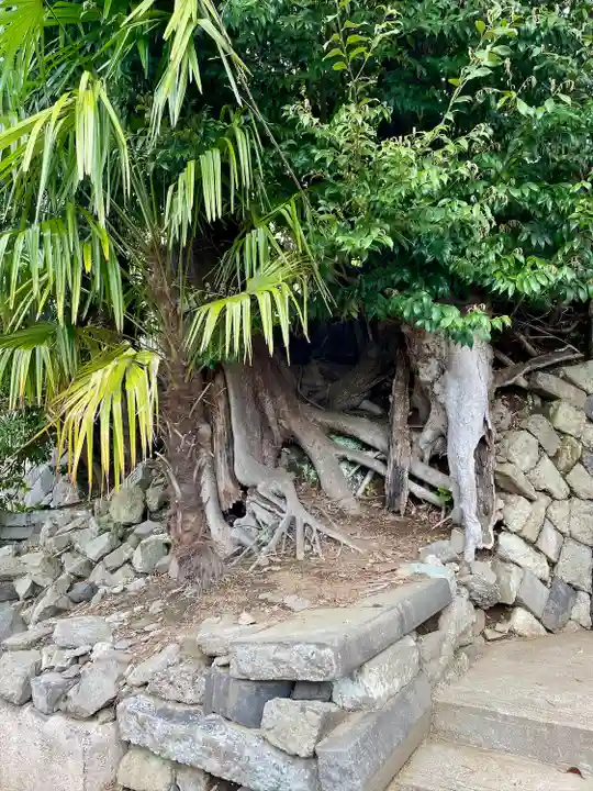 南泉寺(東京都)