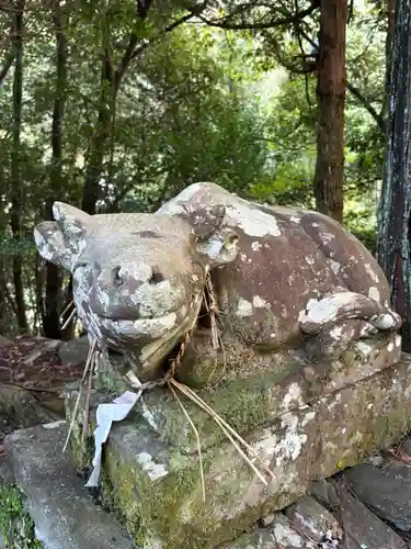 瀧宮神社(徳島県)