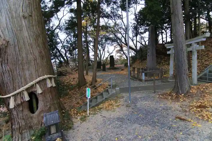阿久津「田村神社」(郡山市阿久津町)旧社名:伊豆箱根三嶋三社の景色