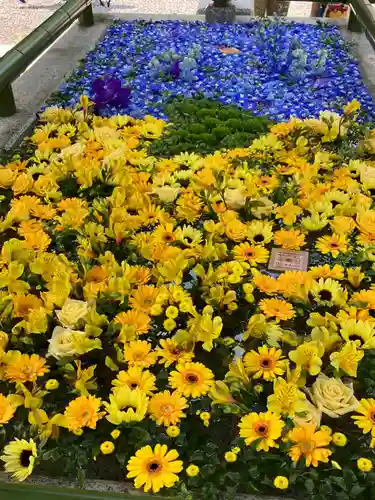住吉神社の手水舎