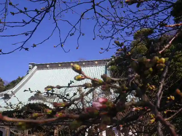 光明寺のその他建物