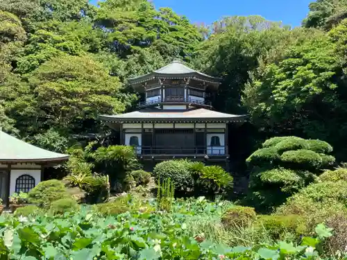 光明寺(神奈川県)