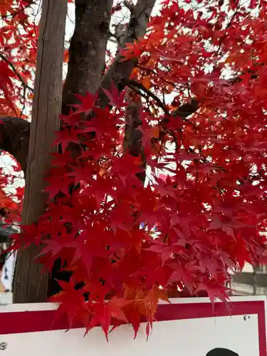 諏訪大社(長野県)