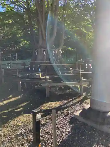 美幌神社の自然