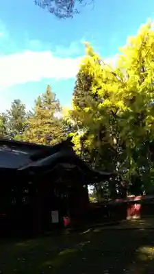 都々古別神社(八槻)の本殿・本堂