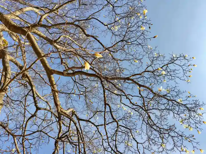 厚別神社(北海道)