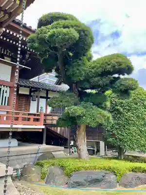 金藏院(神奈川県)
