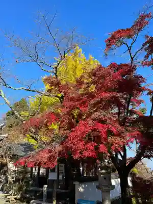 西教寺(滋賀県)