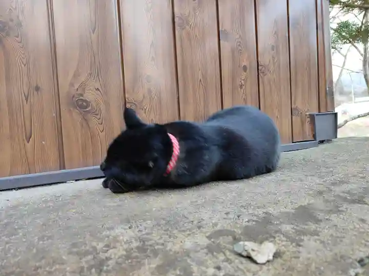 高司神社〜むすびの神の鎮まる社〜(福島県)