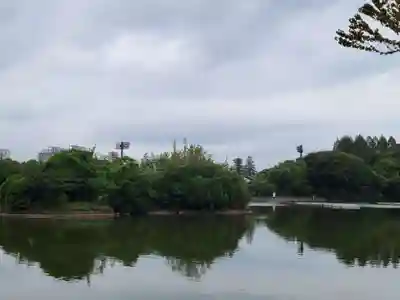 氷川神社(東京都)