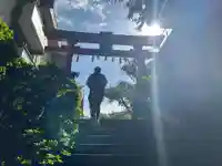 神田神社(神田明神)の鳥居