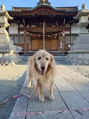 土橋神社(神奈川県)