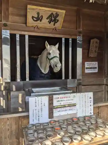多度大社の動物