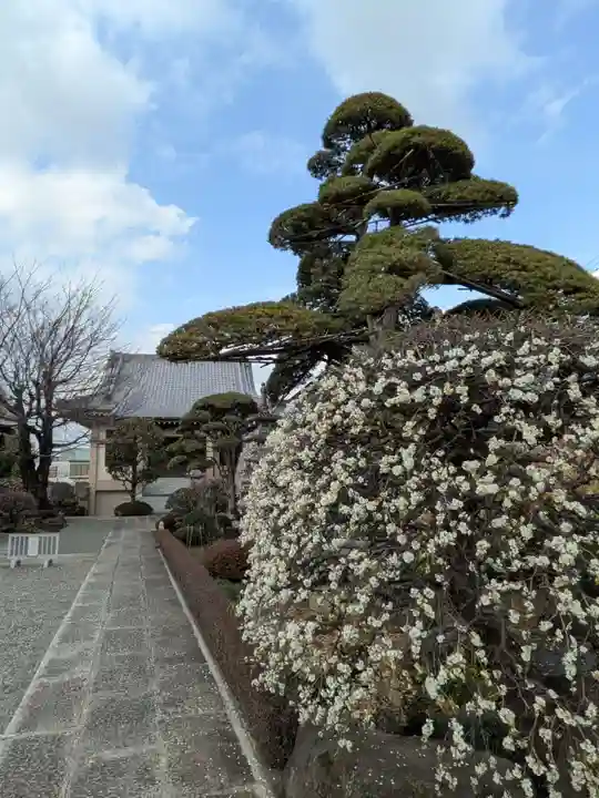 松應寺(東京都)