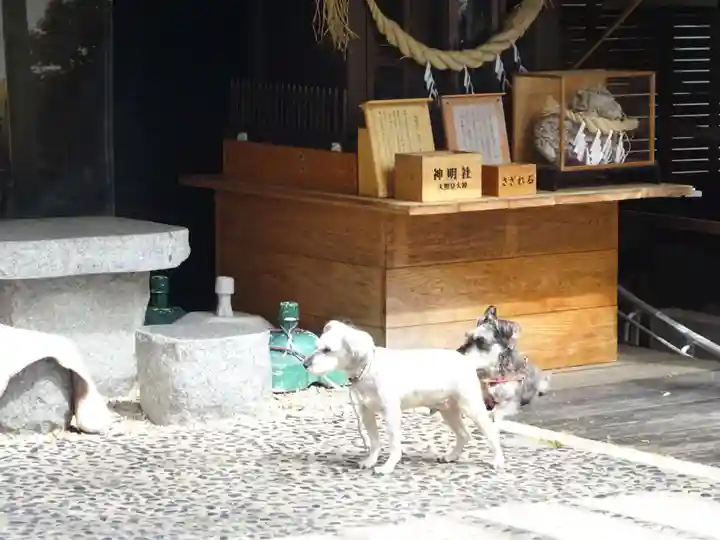 菊名神社の動物